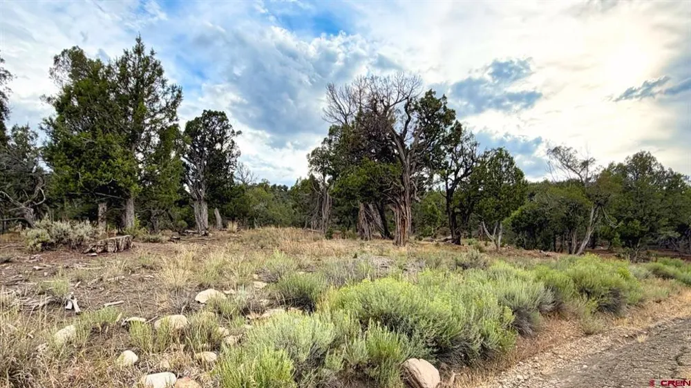 Road 35 Road Mancos, CO 81328
