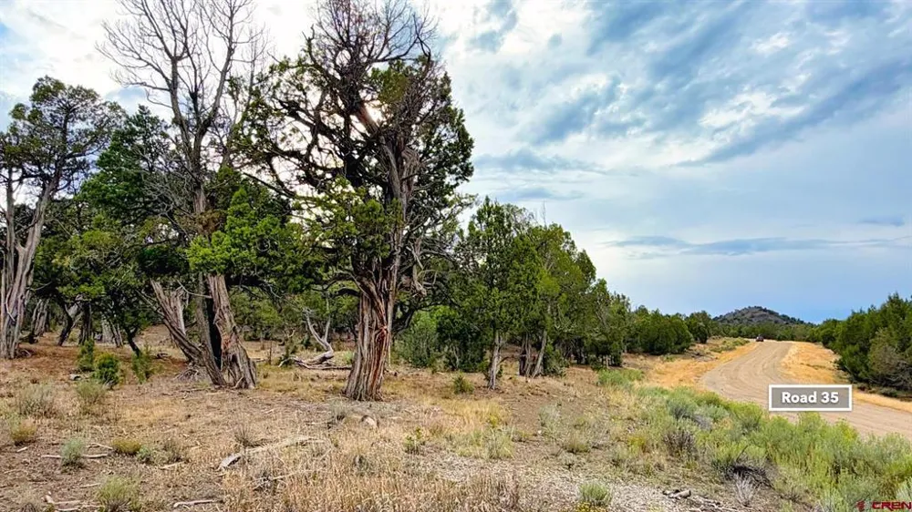 Road 35 Road Mancos, CO 81328