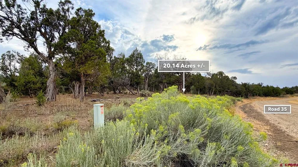 Road 35 Road Mancos, CO 81328