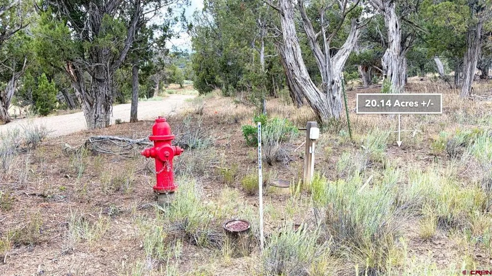 Road 35 Road Mancos, CO 81328