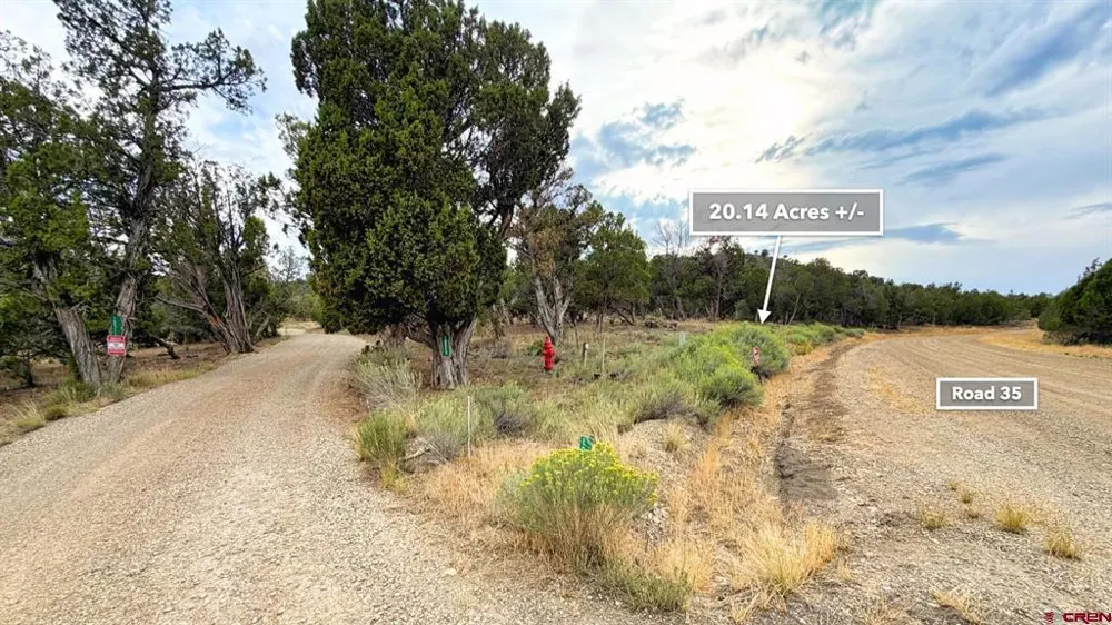 Road 35 Road Mancos, CO 81328