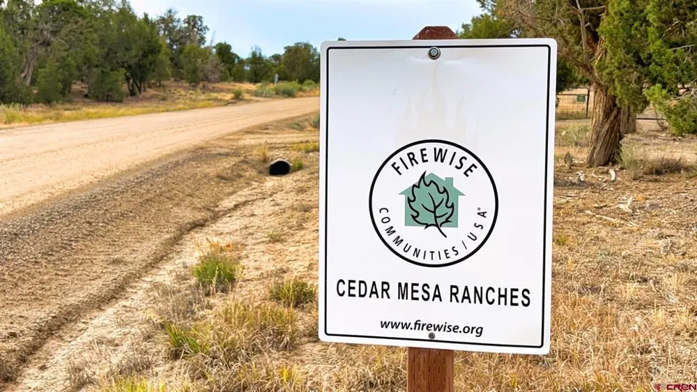 Road 35 Road Mancos, CO 81328
