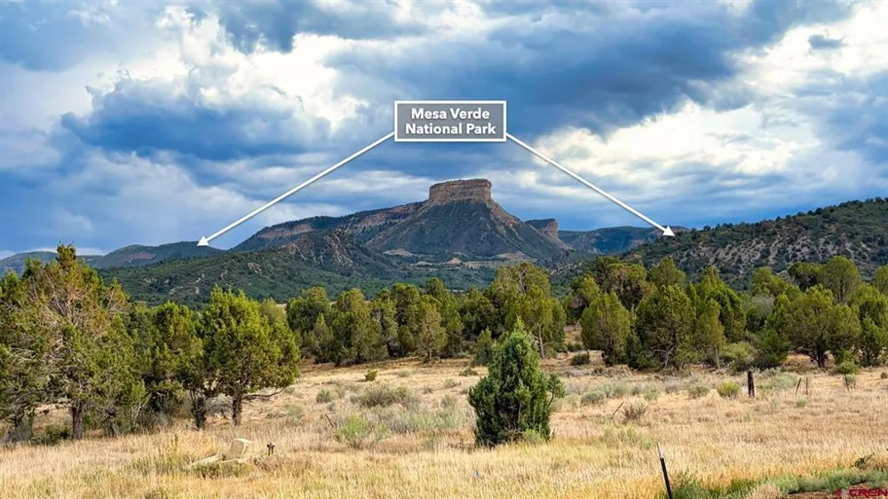 Road 35 Road Mancos, CO 81328