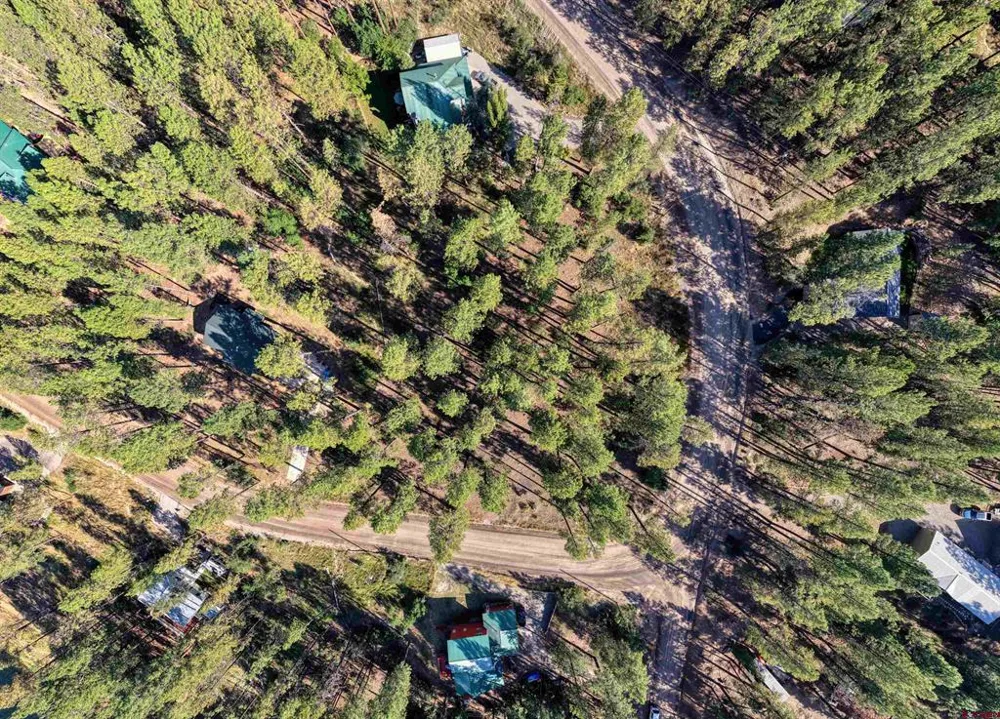 31 E Forest Lakes Drive Bayfield, CO 81122