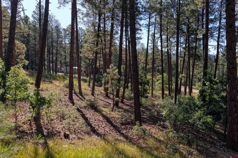 31 E Forest Lakes Drive Bayfield, CO 81122
