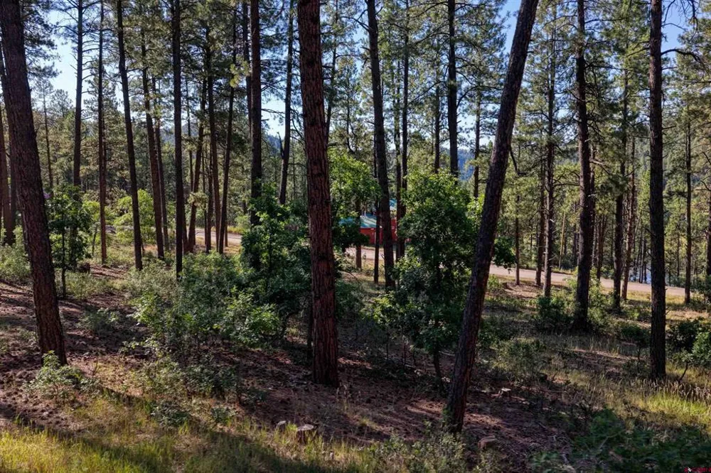 31 E Forest Lakes Drive Bayfield, CO 81122