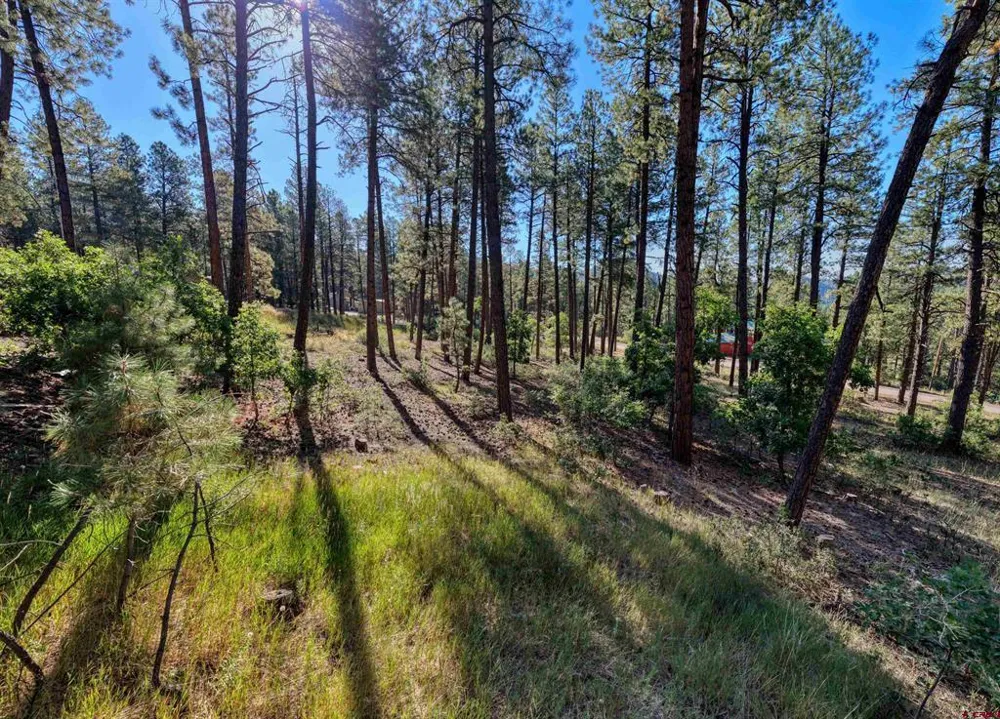 31 E Forest Lakes Drive Bayfield, CO 81122