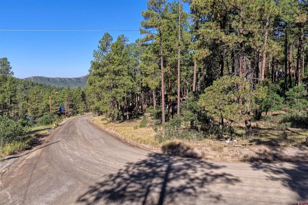 31 E Forest Lakes Drive Bayfield, CO 81122