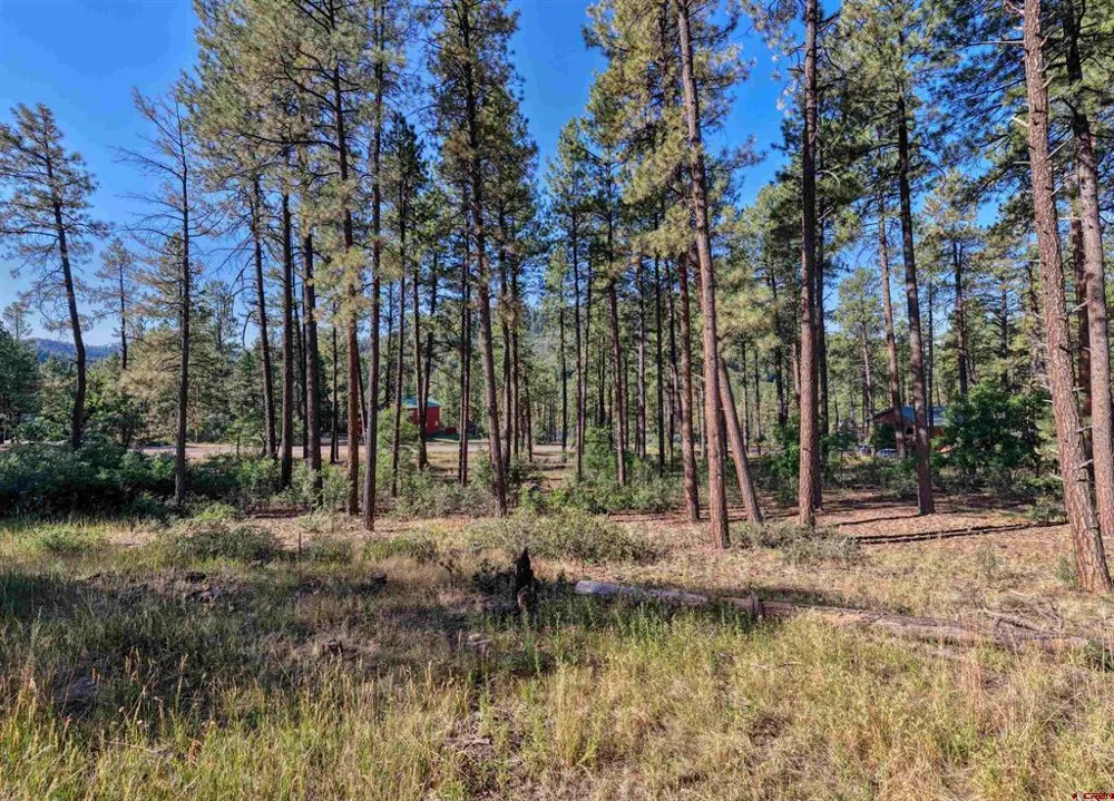 31 E Forest Lakes Drive Bayfield, CO 81122