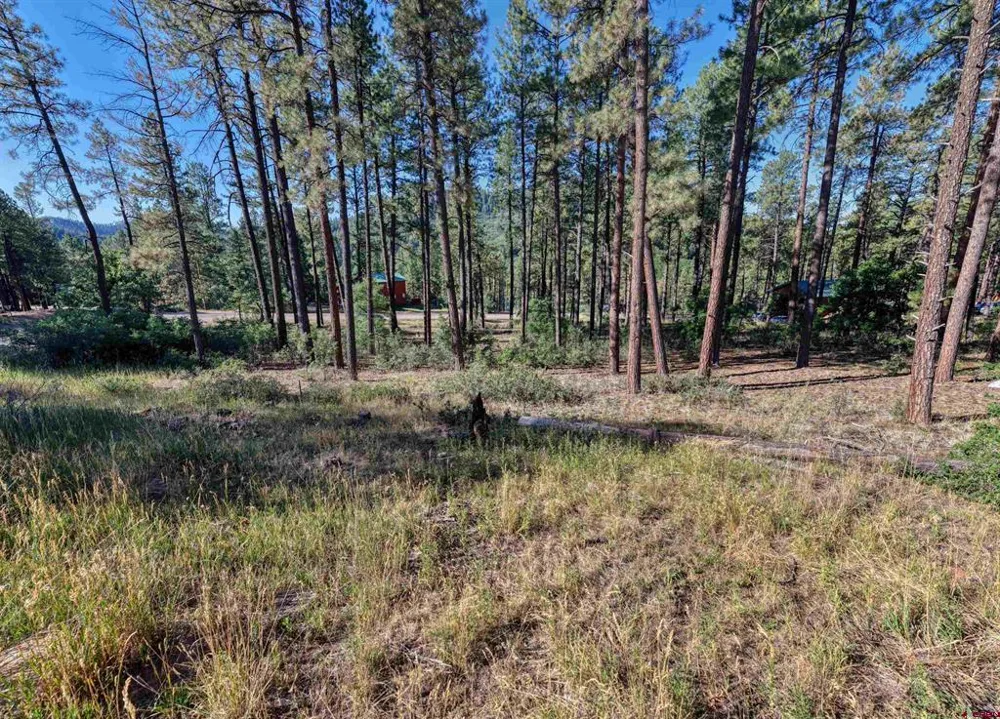 31 E Forest Lakes Drive Bayfield, CO 81122