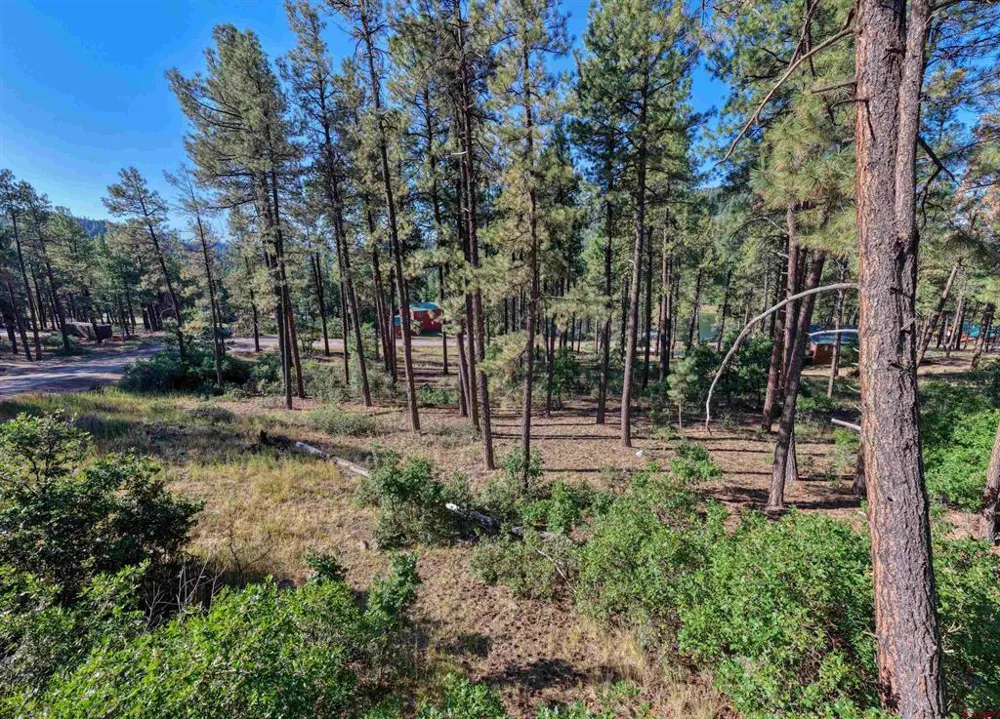 31 E Forest Lakes Drive Bayfield, CO 81122