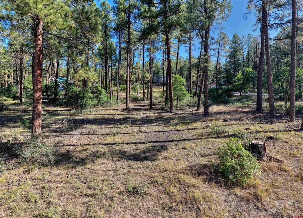31 E Forest Lakes Drive Bayfield, CO 81122