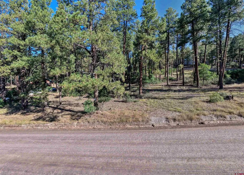 31 E Forest Lakes Drive Bayfield, CO 81122