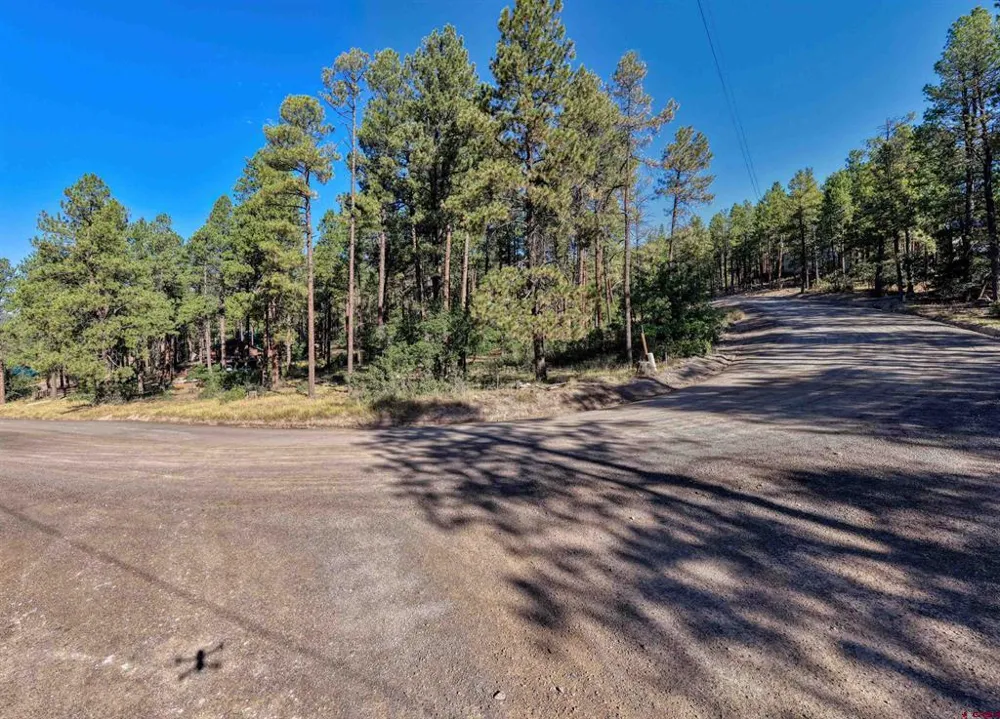 31 E Forest Lakes Drive Bayfield, CO 81122