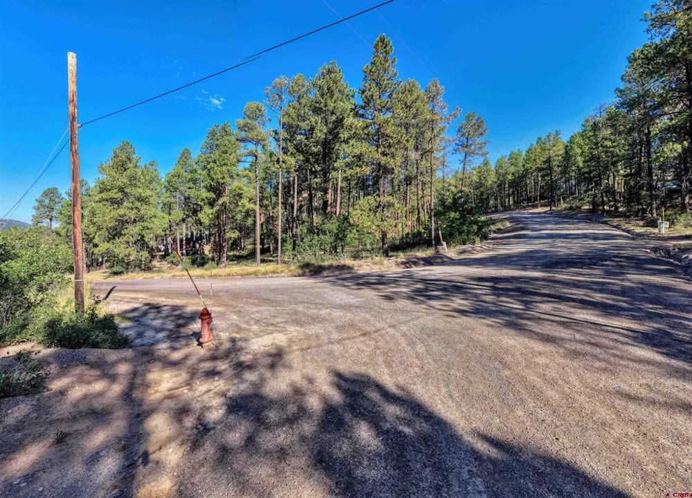31 E Forest Lakes Drive Bayfield, CO 81122