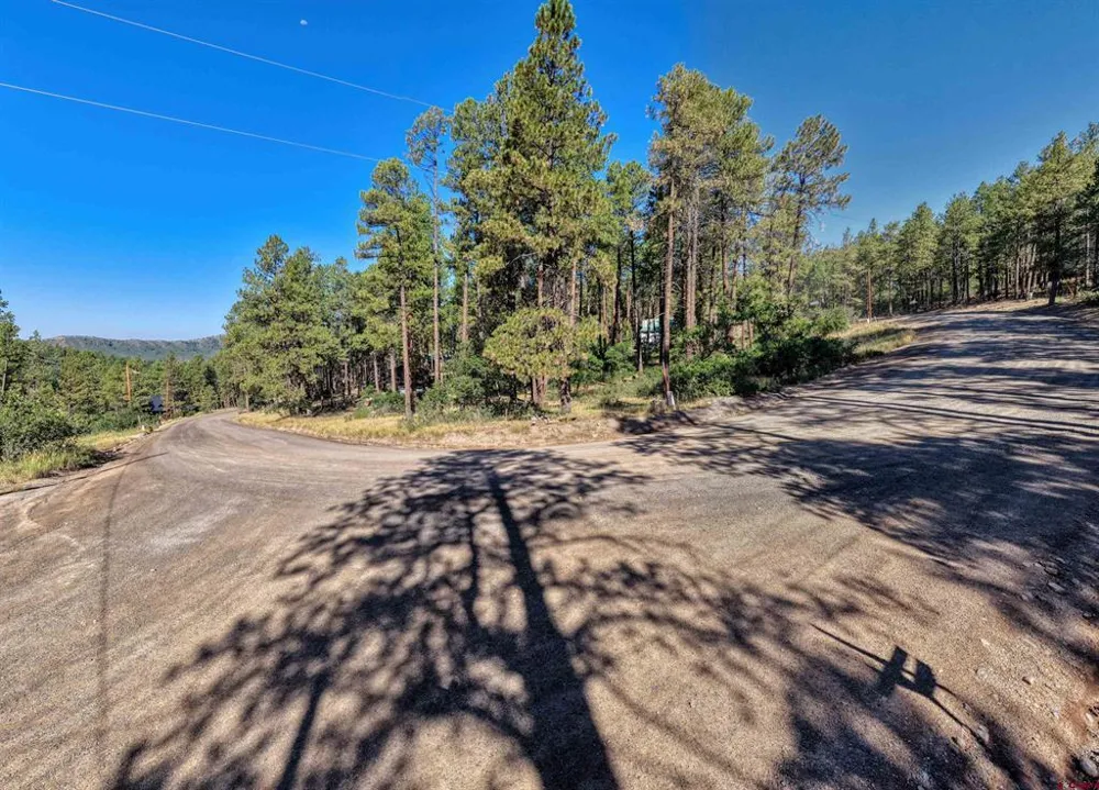 31 E Forest Lakes Drive Bayfield, CO 81122