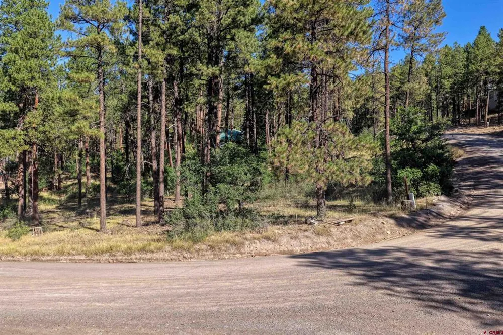 31 E Forest Lakes Drive Bayfield, CO 81122