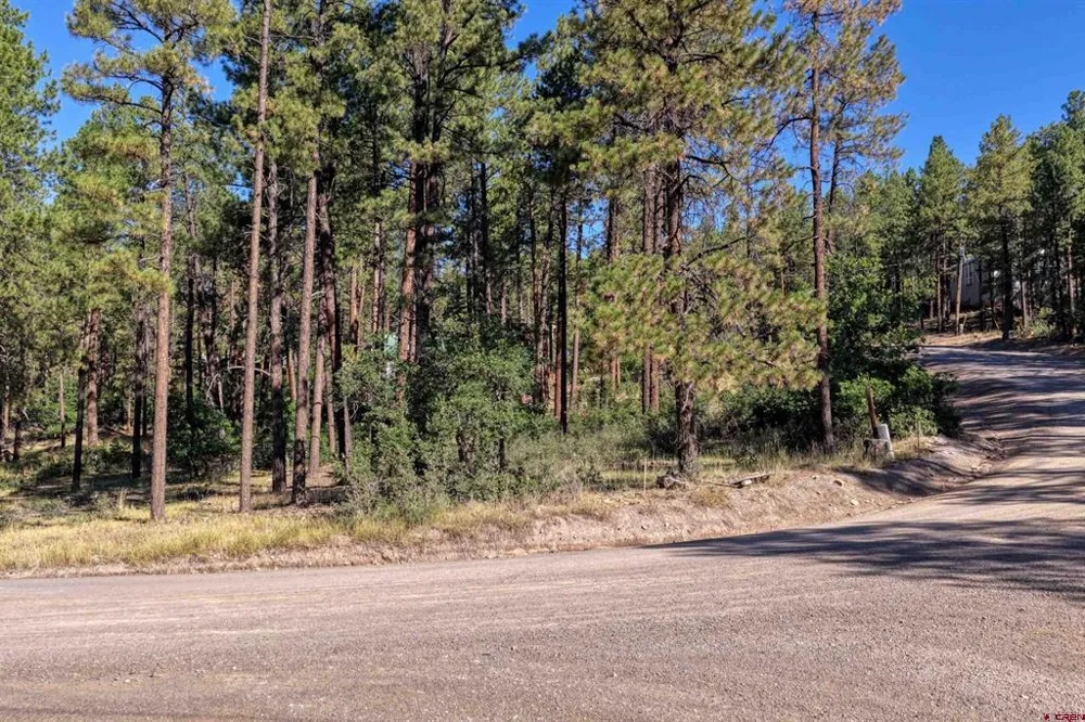 31 E Forest Lakes Drive Bayfield, CO 81122