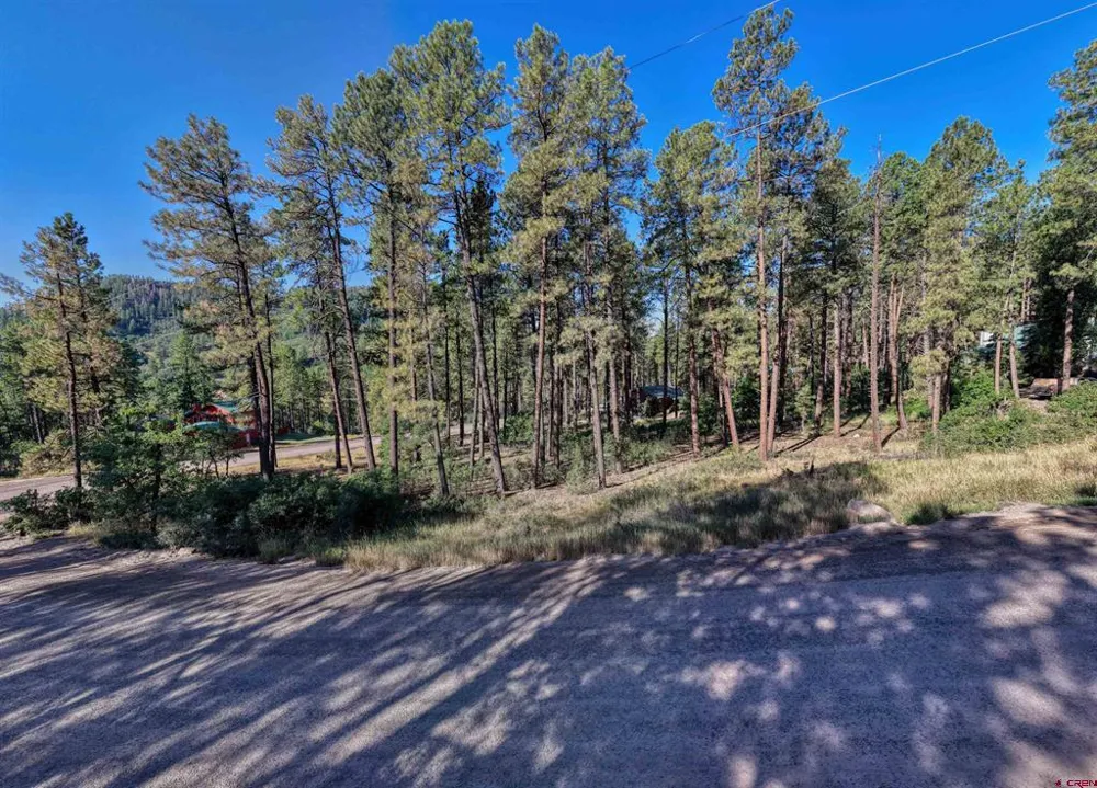 31 E Forest Lakes Drive Bayfield, CO 81122