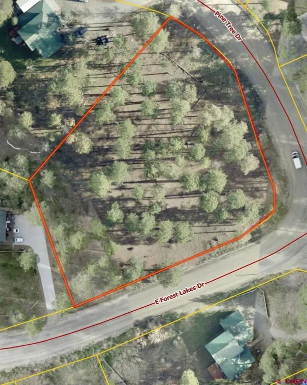 31 E Forest Lakes Drive Bayfield, CO 81122