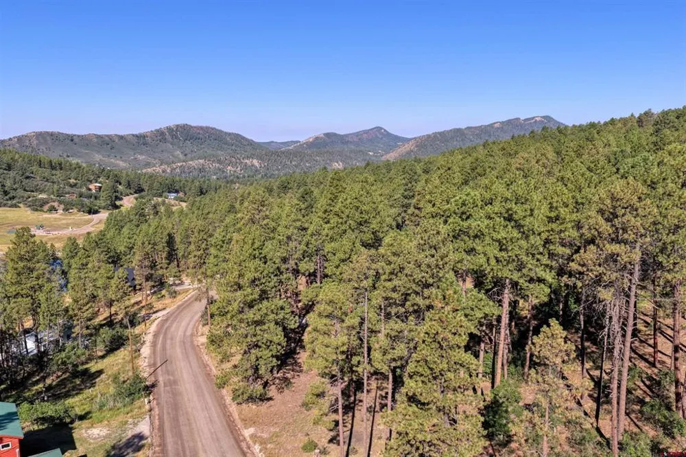 31 E Forest Lakes Drive Bayfield, CO 81122