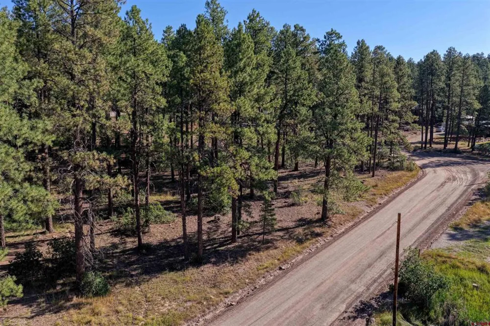 31 E Forest Lakes Drive Bayfield, CO 81122