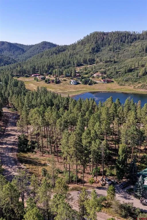 31 E Forest Lakes Drive Bayfield, CO 81122