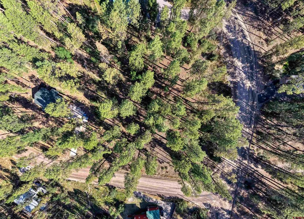31 E Forest Lakes Drive Bayfield, CO 81122