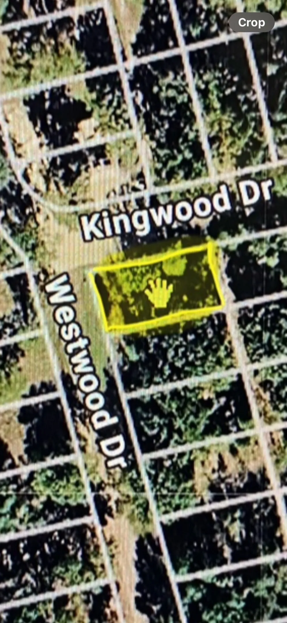Westwood Drive Trinidad, TX 75163