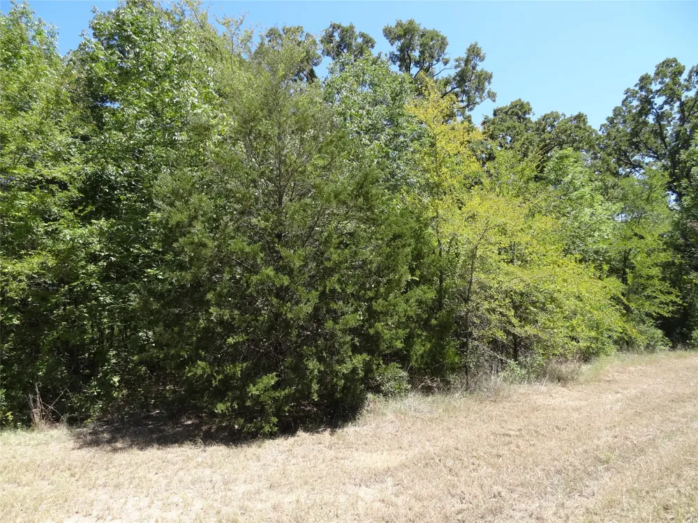 Westwood Drive Trinidad, TX 75163