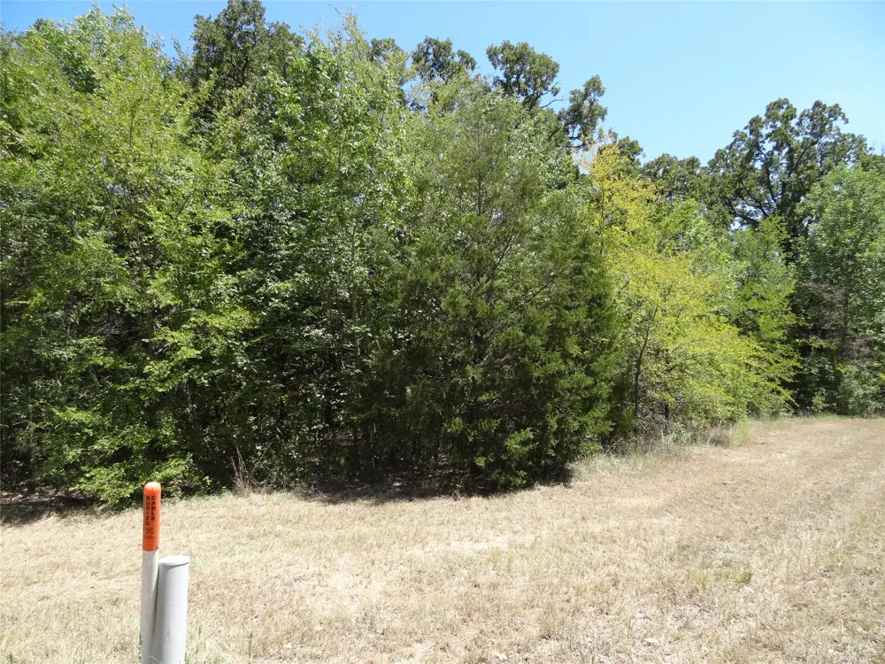 Westwood Drive Trinidad, TX 75163