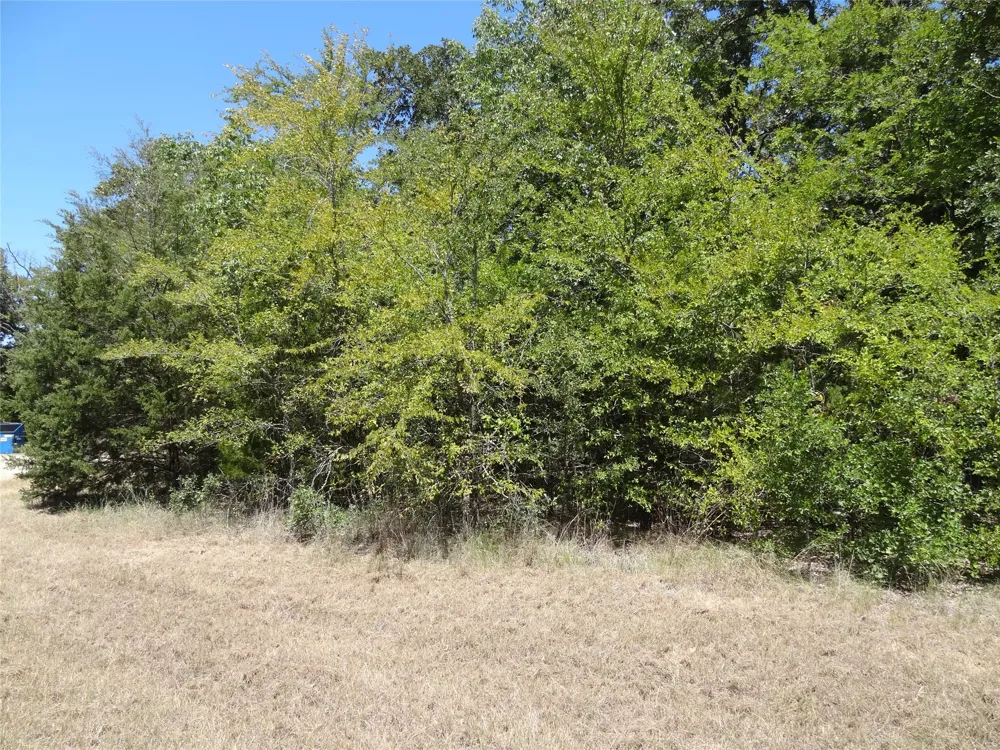 Westwood Drive Trinidad, TX 75163