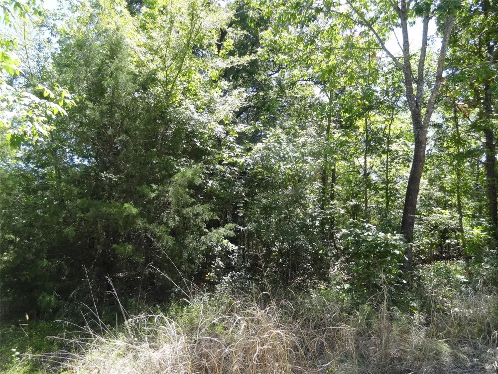 Westwood Drive Trinidad, TX 75163