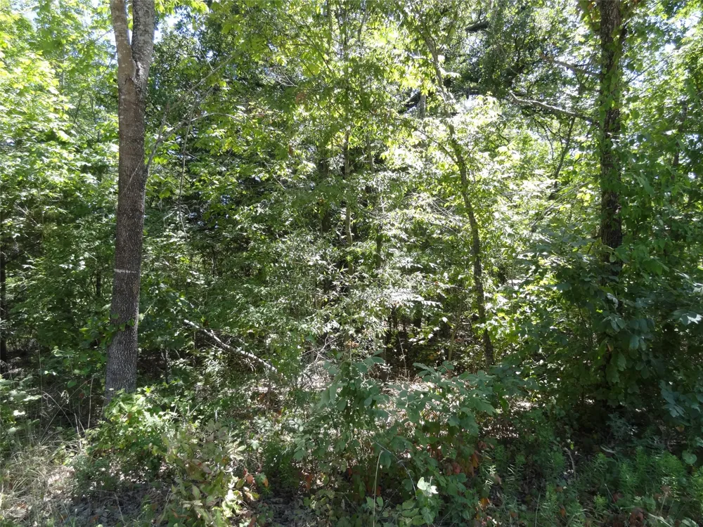 Westwood Drive Trinidad, TX 75163