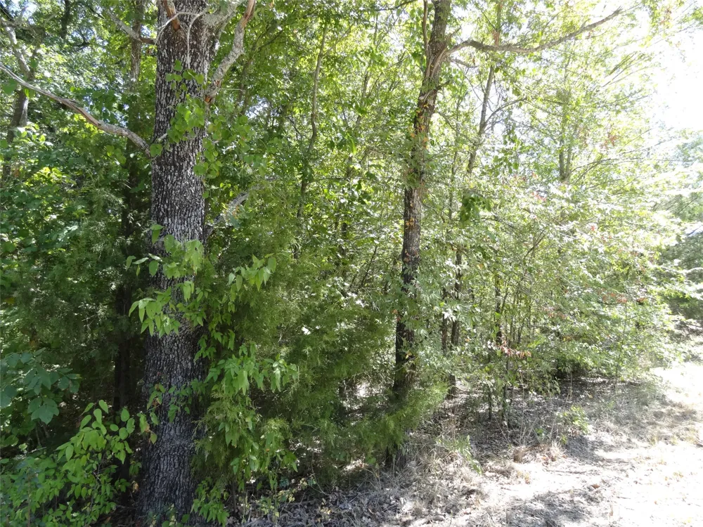 Westwood Drive Trinidad, TX 75163