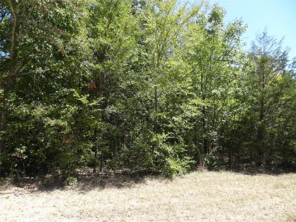 Westwood Drive Trinidad, TX 75163