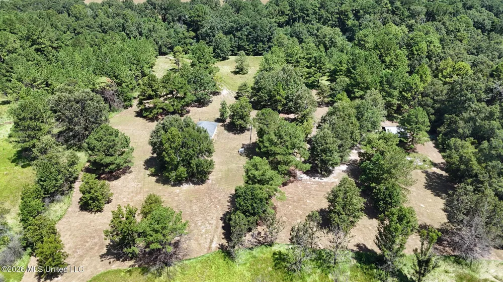 204 A Bonnett Lane Lucedale, MS 39452