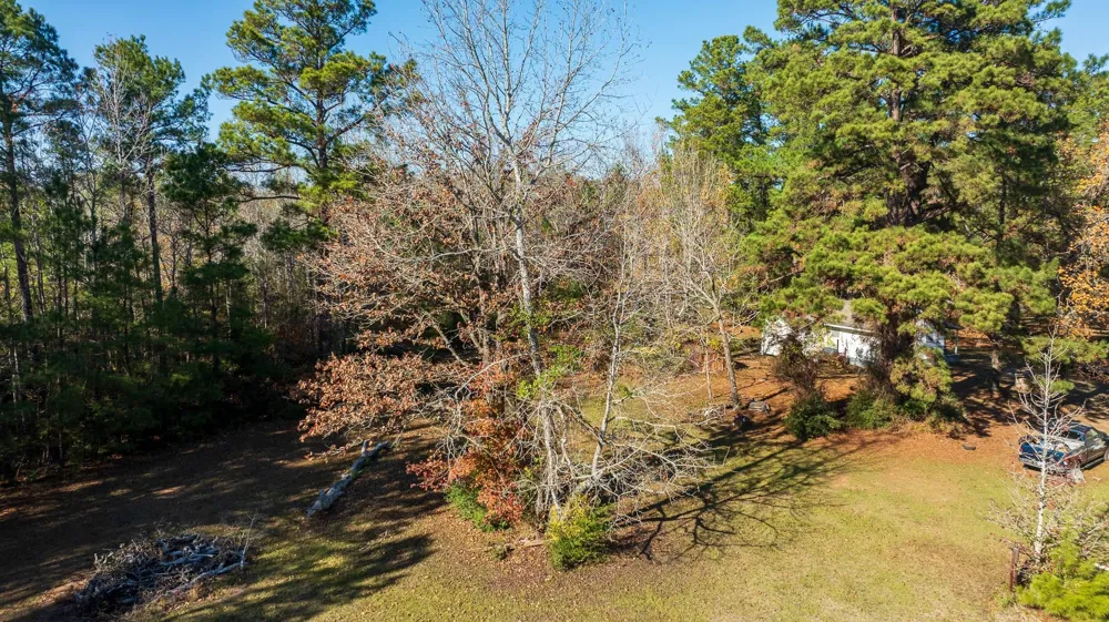 23684 Fm 227 E Kennard, TX 75847