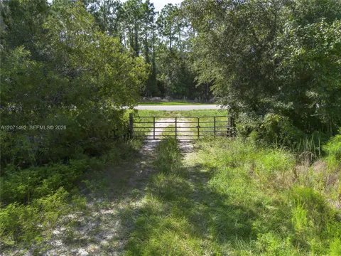 1369 Water Oak