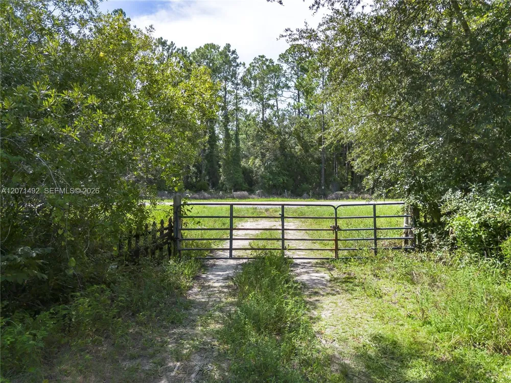 1369 Water Oak Other City - In The State Of Florida, FL 32110