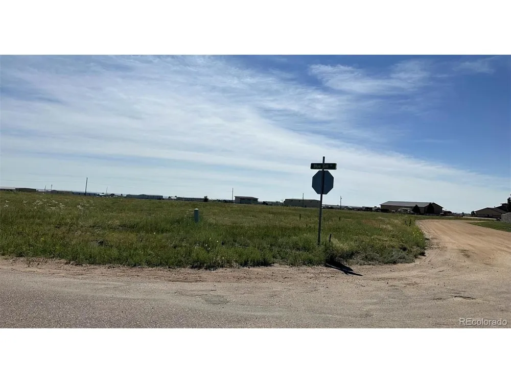 8305 Blue Gill Drive Peyton, CO 80831