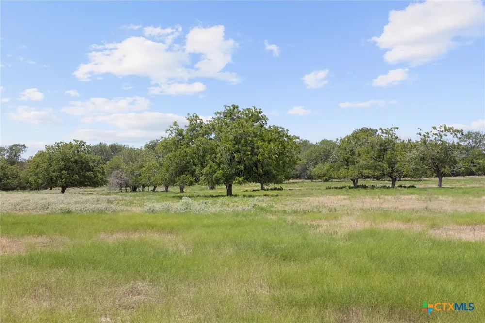 4 FM 3158 Dale, TX 78616