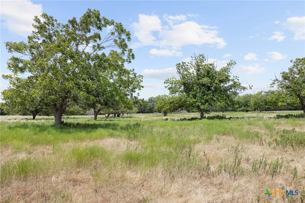4 FM 3158 Dale, TX 78616