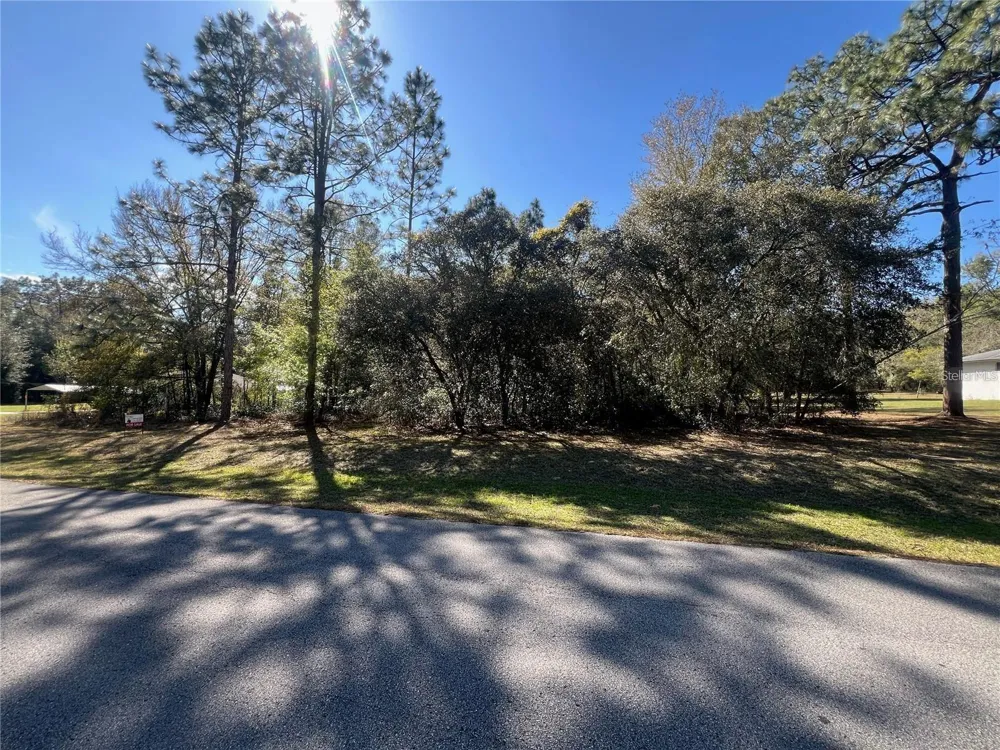 00 SW 196TH AVENUE Dunnellon, FL 34431