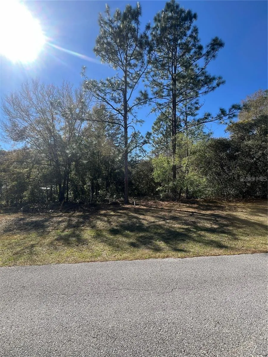 00 SW 196TH AVENUE Dunnellon, FL 34431