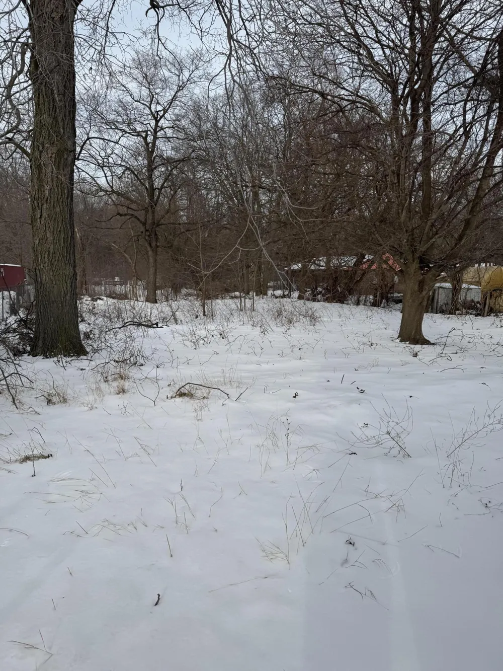 1175 E Napier Avenue Benton Harbor, MI 49022