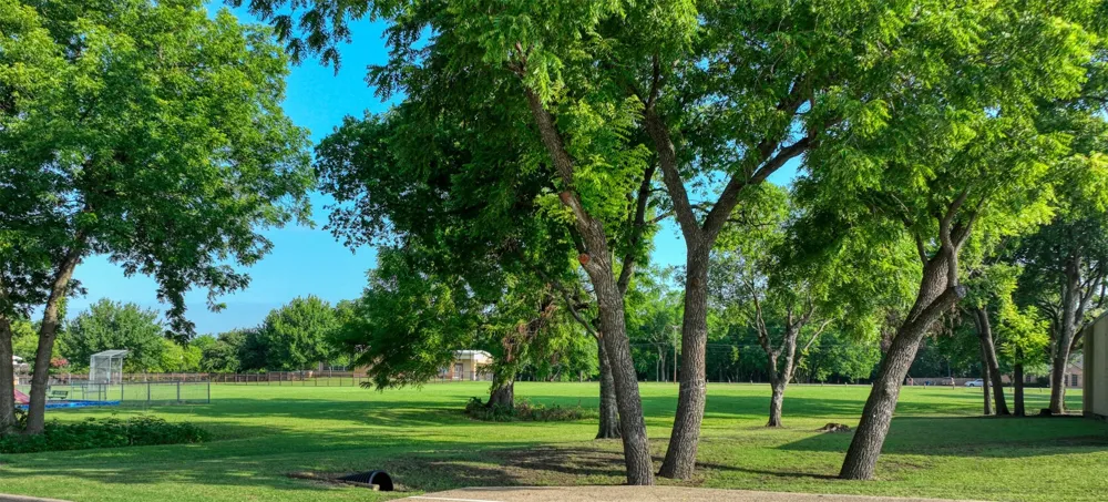 723 E Main Street Lancaster, TX 75146