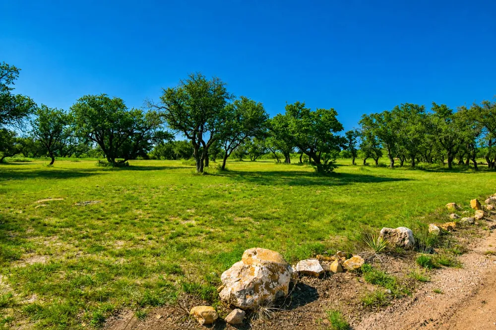 239 County Road 160 Brady, TX 76825