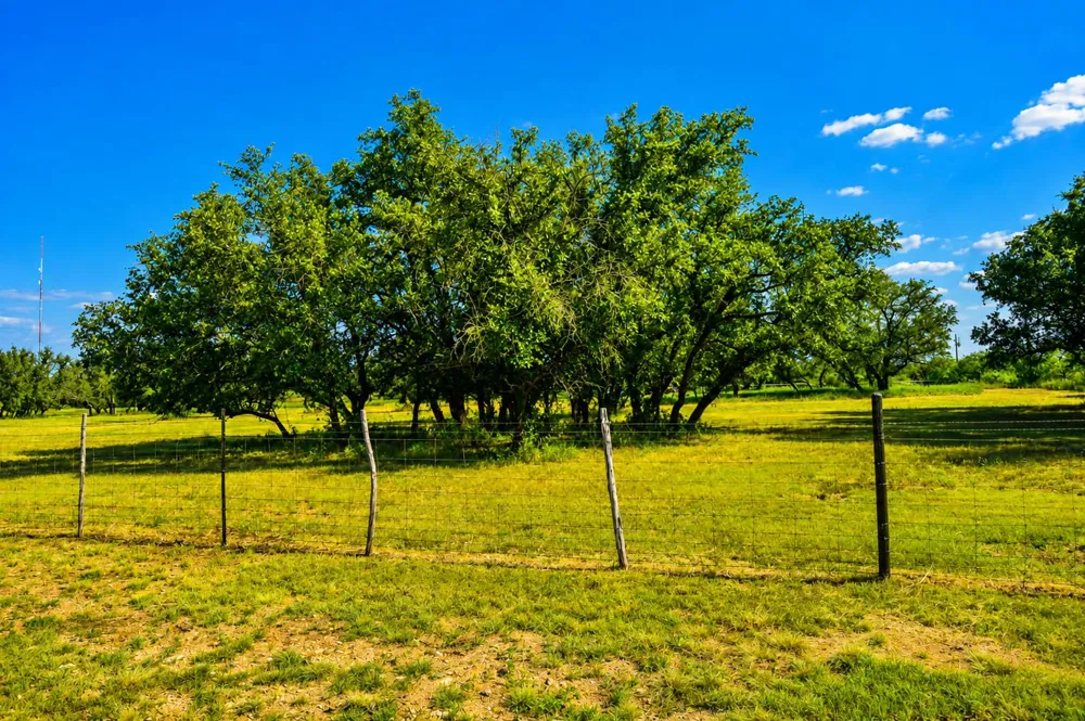 239 County Road 160 Brady, TX 76825