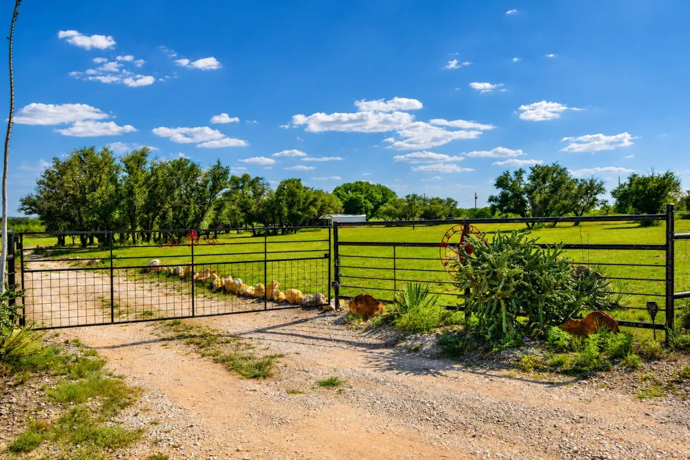 239 County Road 160 Brady, TX 76825
